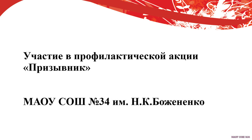 Участие в профилактической акции "Призывник"