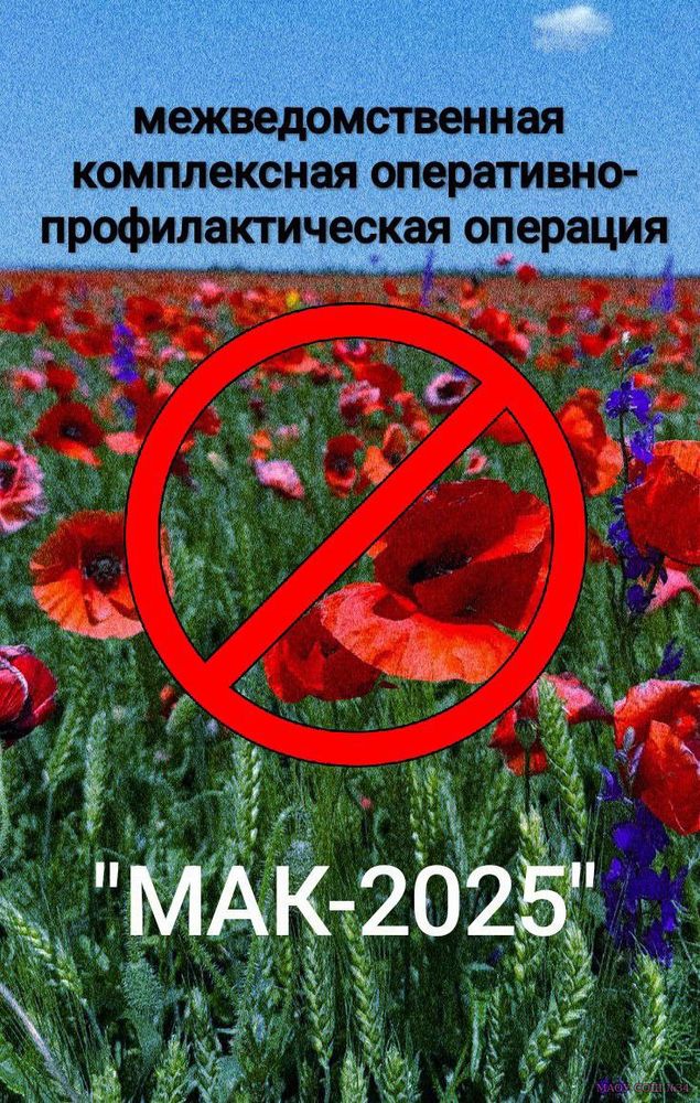 1 этап профилактической акции "МАК-2025"